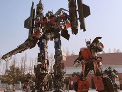 -上海长兴岛郊野公园