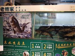 -老傅家湘潭水煮活鱼店(众一国际店)