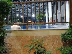 -盛彼得温泉度假酒店