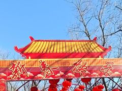 -北京石景山游乐园