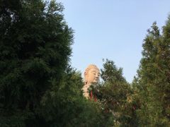 -蒙山大佛景区
