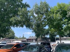 -南锣鼓巷-停车场