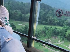 -成都蒲江花样年福朋喜来登度假酒店·宜客乐西餐厅