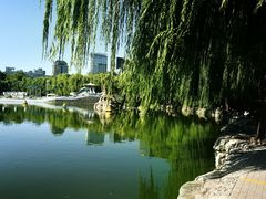 -团结湖公园