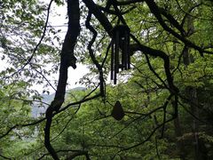 -大明山自然探索公园