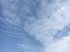 -白云山风景名胜区