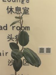 -东方骏美发美容沙龙