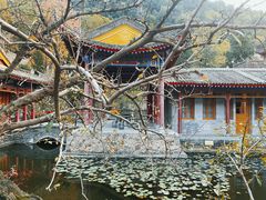 -华清宫景区