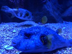 -成都浩海立方海洋公园