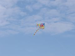 -上海滨江森林公园
