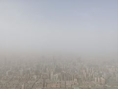 -兰山公园