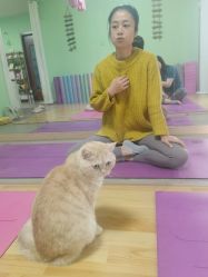 -齐伽生活馆·瑜伽·普拉提·阿育吠陀