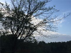 -邓小平故里