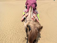 -银肯塔拉沙漠生态旅游景区