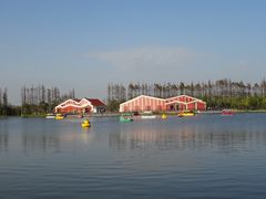 -上海长兴岛郊野公园