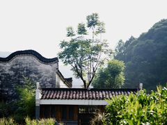 -石台牯牛降景区
