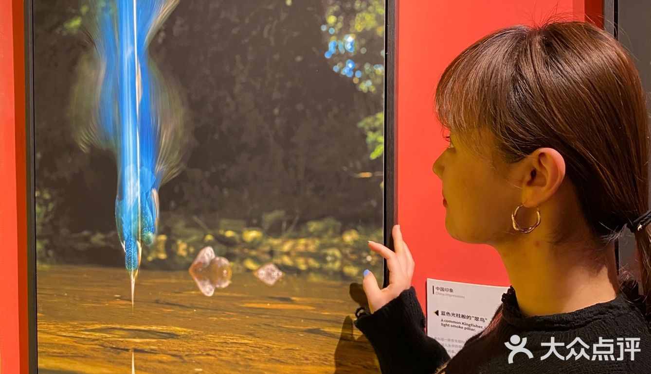 打卡·国家地理影像展