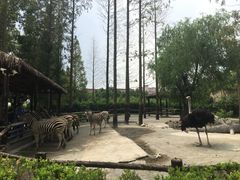 -上海野生动物园