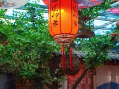 -田园印象·成都土菜院子(华阳店)