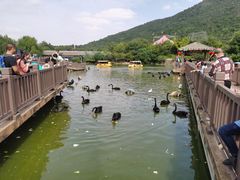 -无锡动物园·太湖欢乐园