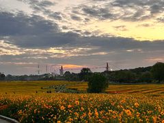 -花博汇(知音花月夜)
