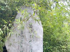 -国家植物园南园