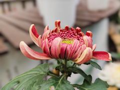 -共青国家森林公园-售票处