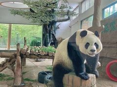 -宁波野生动物园