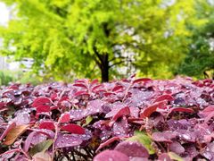 -苏州河梦清园环保主题公园