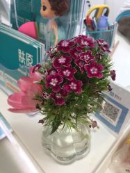 -芙贝佳禾·痘肌管理中心