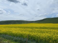 -扁都口生态休闲旅游区