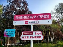 -曹州牡丹园