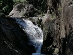 -广州白江湖森林公园