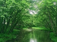 -西溪南古村落景区