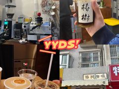 -椿树咖啡