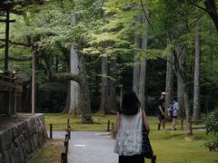 -三千院