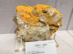 -湖南省地质博物馆