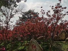 -广州市帽峰山景区