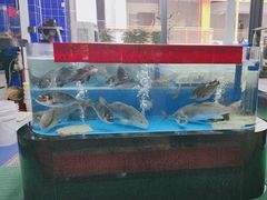 -明本海鲜大排档·鱼生海鲜烧烤宵夜(陈家祠店)