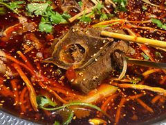 -小龙跃.羊蝎子火锅(凤凰北街店)