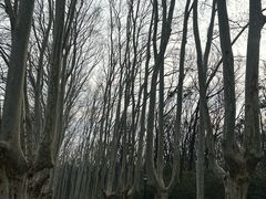 -灵谷景区
