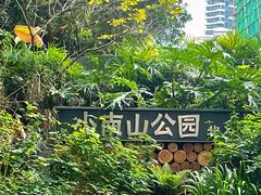 -小南山公园
