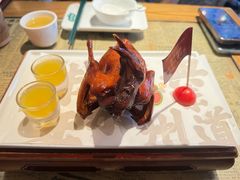 -大鸽饭(北京路店)