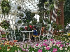 -石家庄市植物园