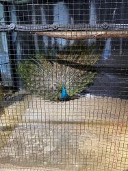 -酷嗒动物文化乐园(cutezoo西溪乐天城店)