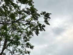 -厦门园林博览苑