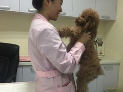 -宠颐生东兴动物医院(大悦城店)