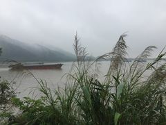-羚羊峡古栈道森林公园