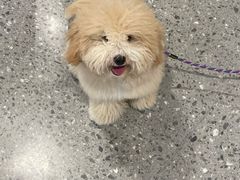 -深圳湾万象城(南山店)