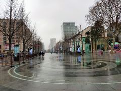 -杭州君悦酒店
